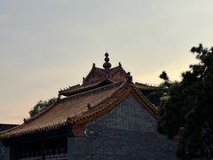 -北陵公园