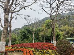 -大雁山风景区