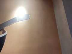 -鲜芋仙(国和店)