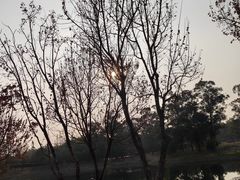 -两河城市森林公园