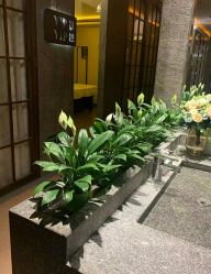 -贝黎诗SPA