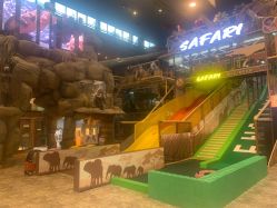 -卡通尼·Safari非洲探索乐园·生日会(金桥国际商业广场店)
