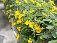 -OurTime Cafe OT咖啡馆