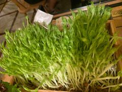 -大头椰·椰子鸡火锅(南宁万象城店)