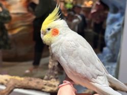 -Zoolung Zoolung动物主题公园(海信广场店)