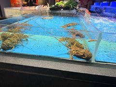 -徐记海鲜(大雁塔|金都店)