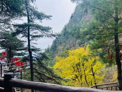 -秦岭天竺山生态文化旅游景区