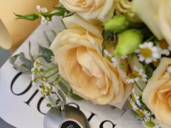 -乐清中升星辉奔驰4S店(乐成市区店)