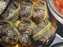 -牛New寿喜烧(金鹰世界店)