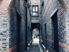 -上海共青森林公园