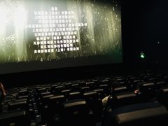 -SFC上影影城(北京大兴龙湖天街IMAX店)