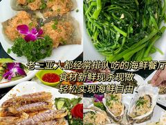 -椰梦长廊