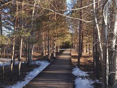 -北极村旅游风景区