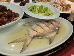 -海中洲渔社
