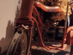 -时光花园(白鹭洲店)