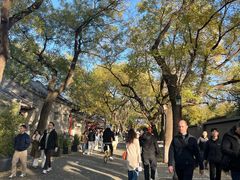 -北京国子监胡同