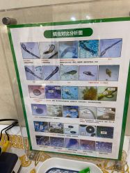 -痘院长·祛痘修护·皮肤管理
