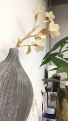 -查克拉造型