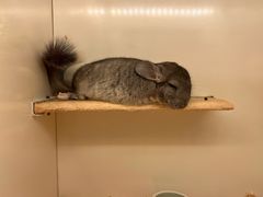 -龙猫仔乐园(惠福东路店)