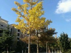 -拓恩帆船俱乐部