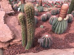 -南通洲际绿博园