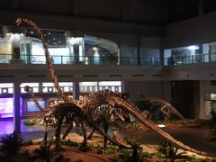 -自贡恐龙博物馆