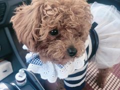 -万达影城(保定万博广场激光IMAX店)