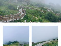 -白草畔自然风景区