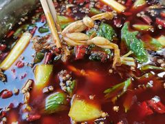 水煮青蛙-曾老幺鱼庄(龙华商厦店)