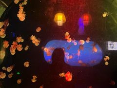 -太平洋海底世界