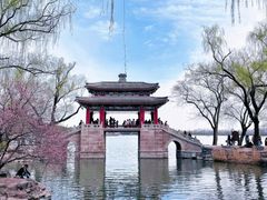 -京城小江南·北京烤鸭·江南土菜·白鱼(中关村店)