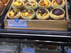-蒲公英(五里店)