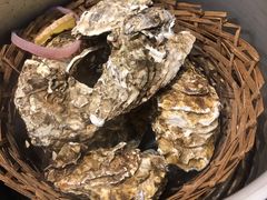 -蚝堡海鲜·威海菜·海肠捞饭·烧烤·亚洲吃蚝公司(幸福门店)