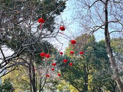-虞山风景区