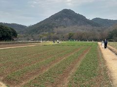 -八卦田遗址公园