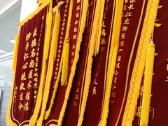 -瑞派长江宠物医院·猫科·外科·24小时夜护(谊城公寓分院)