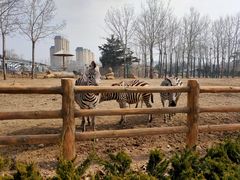 -大连森林动物园