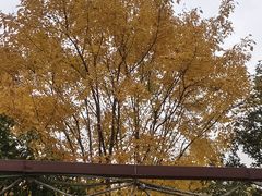 -盘龙城遗址博物院