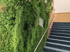 -红黄蓝成长中心(海淀上地店)