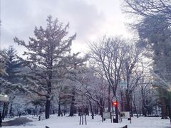 -北海道神宫