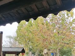-后湖小院·乡野田园菜