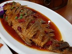 -盛京富丽园老菜馆·东北菜(和平南大街店)