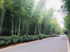 -天目湖御水温泉·度假酒店