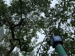 -灵顺寺