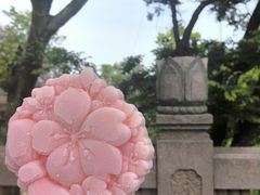 -苏州上方山国家森林公园