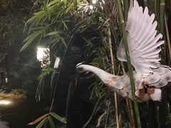-花锦堂·隐庐