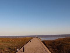 -南汇嘴观海公园