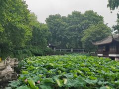 -范蠡湖公园
