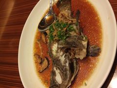 青斑鱼-厦门宝龙铂尔曼大酒店·龙之渊中餐厅