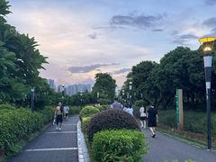 -立新湖公园